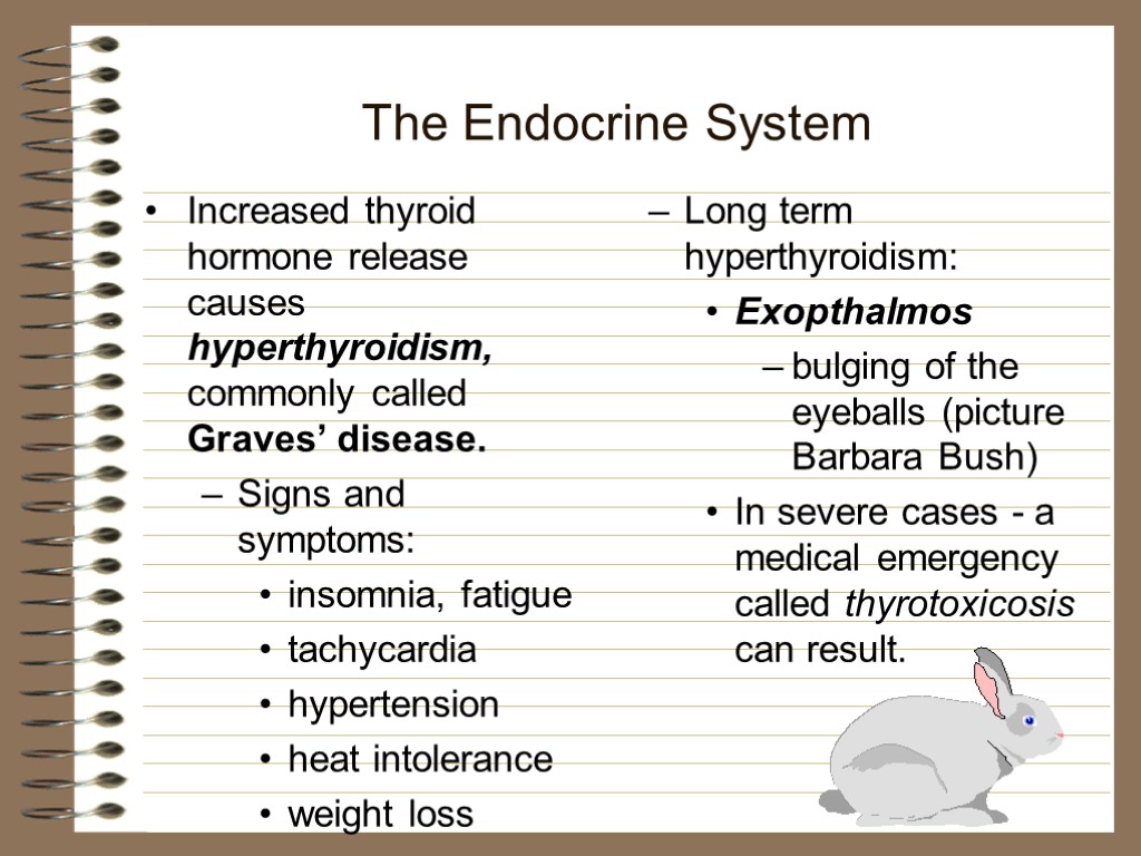 The Endocrine System Increased thyroid hormone release causes hyperthyroidism, commonly called Graves’ disease. Signs